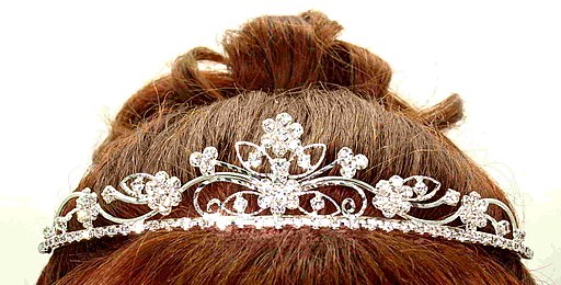 Sissy School Pageant Results